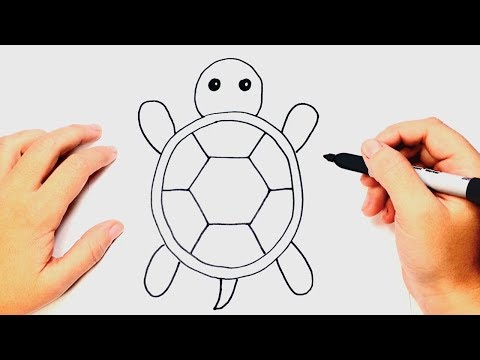 How to draw a Tortoise Step by Step | Easy drawings