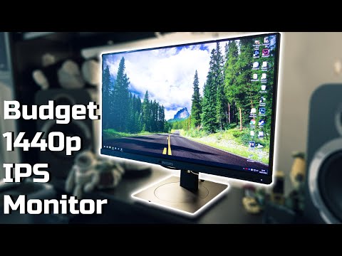 Philips 245B1 review: Good budget 1440p IPS monitor?