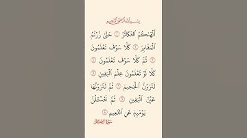 سورة التكاثر بصوت الشيخ سعد الغامدي