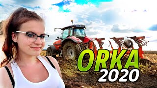 Orka 2020!! Oram pole pod siew pszenżyta! DZIEWCZYNA Z AGRO 🐷 ZETOR+URSUS Vlog#16