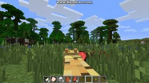 Minecraft Shapeshifter mod part 1