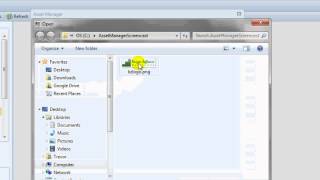 How To Set The Company Options In Asset Manager