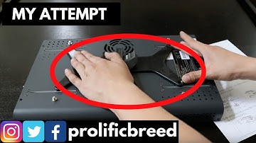 DIY CLEAN WAY TO MOUNT OCEAN REVIVE ARCTIC T247