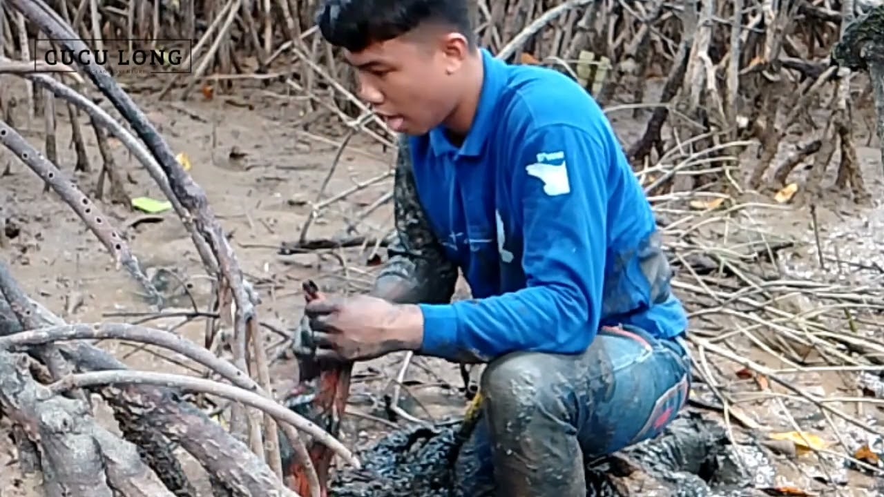 Berburu kerang ibau mendapatkan lumayan banyak dan penuh perjuangan untuk mencari nya