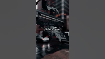 وفي الأرض آيات للموقنين وفي أنفسكم أفلا تبصرون
