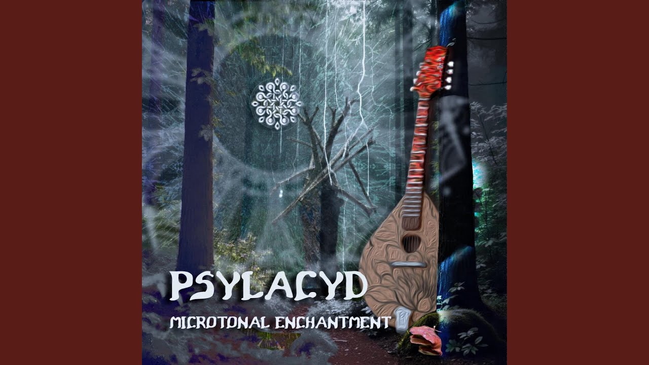 PsylAcyd - Amplified String Magik