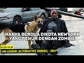 BERTAHAN SENDIRIAN DI KOTA YANG DIKELILINGI ZOMBIE MENAKUTKAN‼️ Alur Film I Am Legend 2007