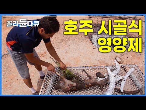“영양제 그런거 왜 챙겨먹습니까 이거 하나면 되는데” | 야생에서 그대로 가져와 특이한 조리법으로 요리하는 고기의 정체 | 세계테마기행 | #골라듄다큐