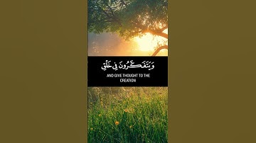الذين يذكرون الله قياما وقعودا وعلى جنوبهم.سورة آل عمران.القارئ:سعد الغامدي.#قرآن_كريم #تلاوة_خاشعة