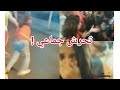 شاهد لحظه التحرش ب روداينا فراوله التيك توك في القاهره وهي تهرب منهم