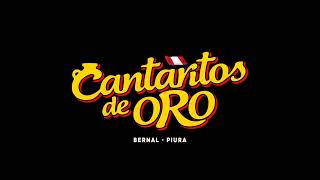 MIX QUE NO QUEDE HUELLA - CANTARITOS DE ORO