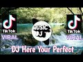 Download Lagu DJ here your Perfect