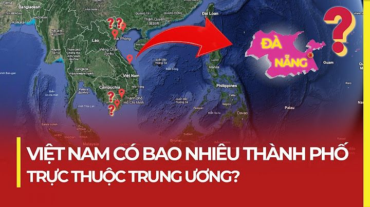 Cơ quan cao nhất của thành phố là gì năm 2024