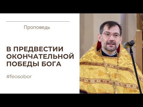 Исцеление двух одержимых. Проповедь протоиерея Димитрия Сизоненко