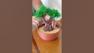 A Bonsai Tree that organizes your desk