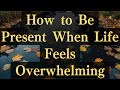 How to Be Present When Life Feels Overwhelming #yourmonkhaku #buddhism #motivation #spirituality