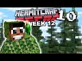 Hermitcraft recap  season 10 week 12