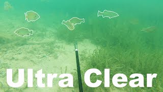 Spear Fishing A TEXAS LAKE {Catch Clean Cook}