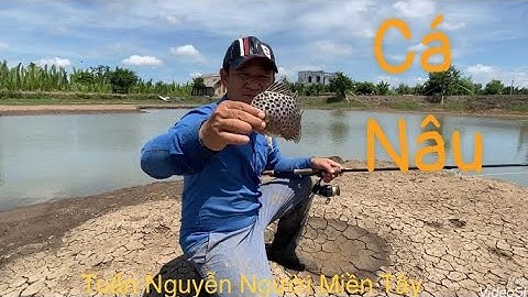 Câu lua mà cũng dính cá nâu.. thế là nướng thôi.. câu cá thiên nhiên ở rừng sát cần giờ..