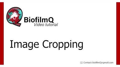 BiofilmQ Tutorials - 2.2.1 Image Cropping