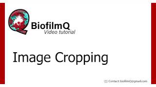 Famous BiofilmQ Tutorials - 2.2.1 Image Cropping Wealth