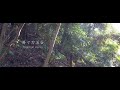 TodorokiValley 等々力渓谷【風景映像】