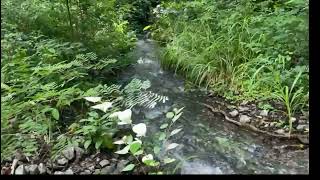 Finca For Sale Guanacaste Costa RIca