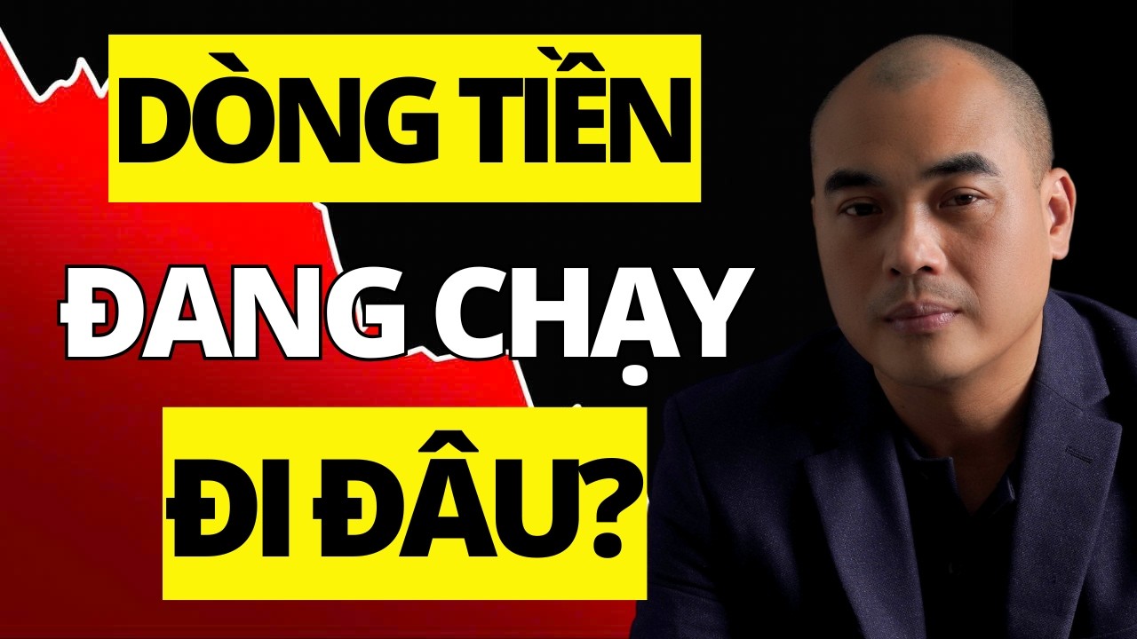 Nhịp đập thị trường  |  Phân hóa rõ nét | Cổ phiếu năng lượng tăng mạnh ?