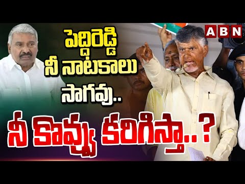 పెద్దిరెడ్డి నీ నాటకాలు సాగవు..నీ కొవ్వు కరిగిస్తా..? | Chandrababu Warning To Minister Peddireddy - ABNTELUGUTV