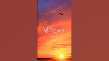 القارئ: ياسر الدوسري❤️ سورة الجاثية آية(٧)الى(٨)