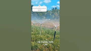 Hệ Thống Tưới Cây Tiết Kiệm Chi Phí #shorts #trendingshorts #phunsuong #hethongtuoicay