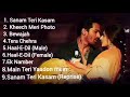 Sanam Teri Kasam Movie All Songs Mp3 Song