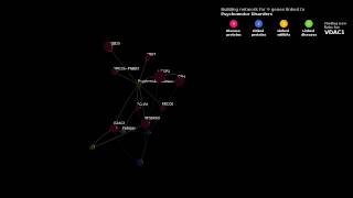 Dynamic molecular biological network visualizations