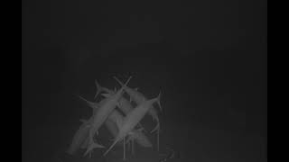 Desktop Error / เสียงที่เคยได้ยิน