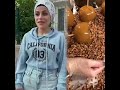 🤣👌👌👌2025 pov Must-Watch Crazy Clips Compilation #humor #fypシ #pov #fyp #foryou 😍😜
