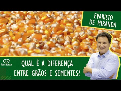 Vídeo: Diferença Entre Grãos Inteiros E Cereais
