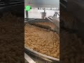 Automatic Frying Machine for Chips, Pastry & Peanuts Snack deep fryer