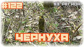 КОП 53 регион