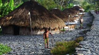 Lagu Papua 2023 Tukang Tipu