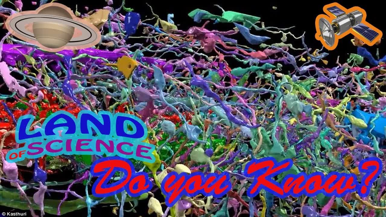 3d Map Of Mouse Neurons Reveals Complex Connections Nature >> 3d Map Of Mouse Neurons Reveals Complex Connections Youtube 3d Map Of Mouse Neurons Reveals Complex Connections Nature >> 3d Map Of Mouse Neurons Reveals Complex Connections Youtube