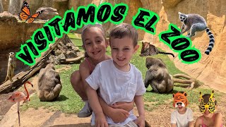 ¡¡VAMOS AL ZOO!! Visitamos a muchos animales . Let's go to the zoo