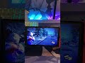 Во что поиграть после покупки Nintendo Switch Oled часть 2
