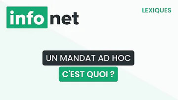 Qu'est-ce qu'un comité ad hoc ?