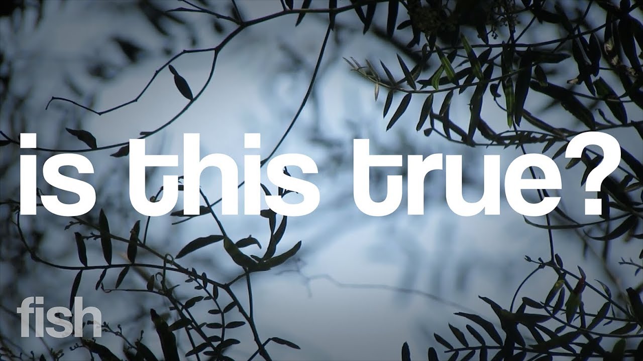 Is This True? - Fish - YouTube