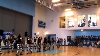 Divine destiny step team Somerset academy
