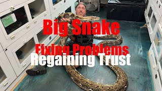 When a Good Snake Becomes “SCARY”- Let’s Fix This Snake!
