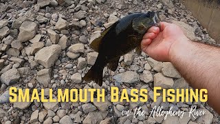 Smallmouth Bass Fishing on the Allegheny River