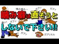 【犬 噛み癖 甘噛み しつけ】噛み癖は直そうとしない方がいいんです!犬のしつけエマチャンネル【犬のしつけ@横浜】