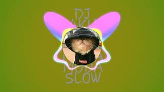 Download Lagu Dj aku suka body mama muda slow bas MP3
