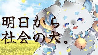【 #雑談 】バイバイ大学生の日常😢 #春から社会の犬